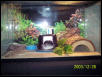 Geico's 10 gallon