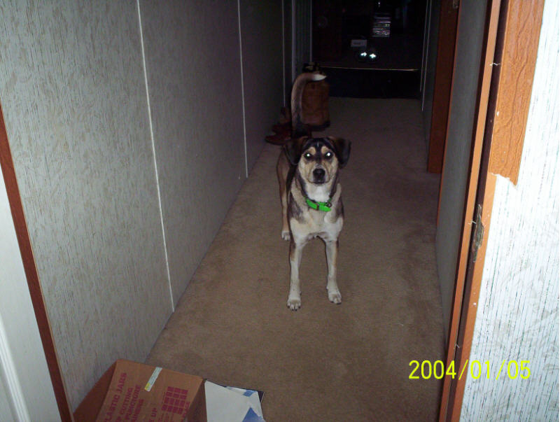 my baby Savannah