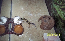 tiny at feeding time