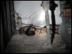 Cane Brake