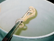Safe handling of a small massasauga