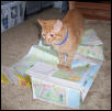 casey with map
