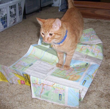 casey with map