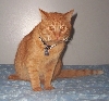 Casey-kinns (11/09/04)