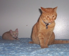 Casey & Crush are COEXISTING! :P