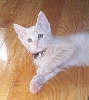 Crushy Cute (11/9/04)