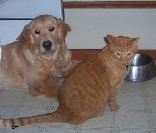 Gallagher & Casey Nov '04