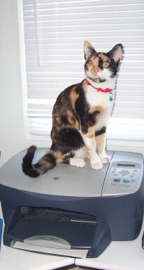 Printer Princess