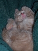 Crushy SLEEPING aaaaaaawe!
