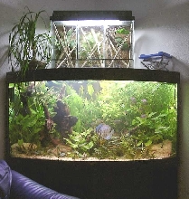 350 L tank