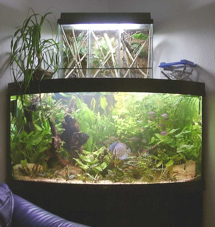350 L tank