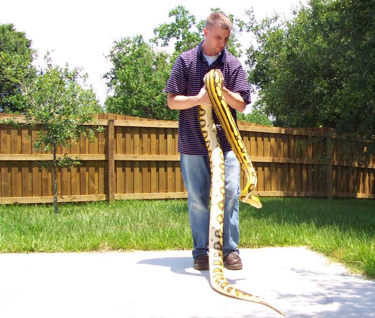 fgsdfgafsdgasfdsa