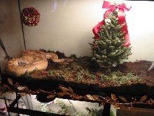 Herp Holiday Spirit