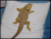 Pyro, my dragon
