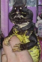 My Mali Bernie