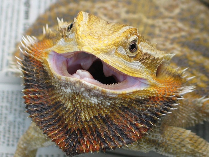 So angry...