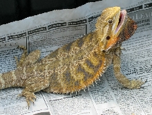 So angry...