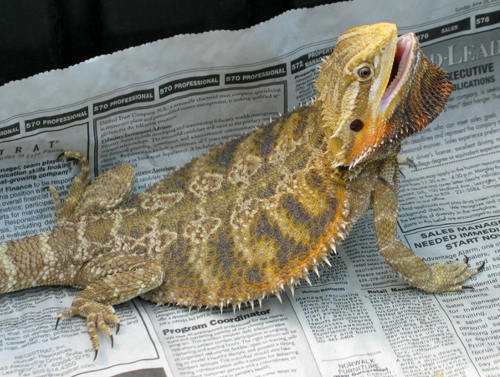 So angry...