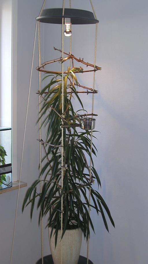 yemen "terrarium"