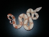 Yagi het stripeXred albino