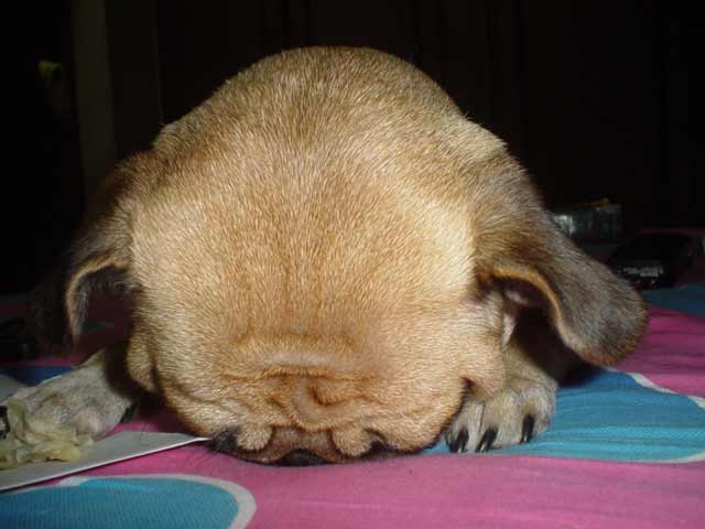 hiding the face