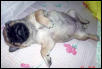 sleeping