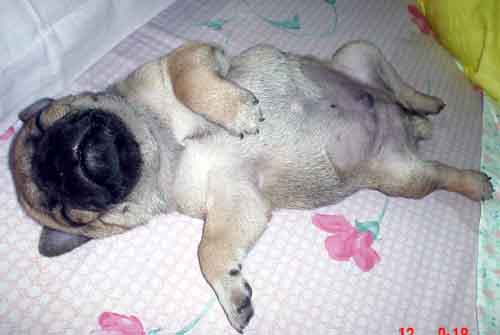 sleeping