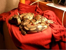 Eve and Tigger