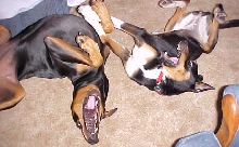 Sassy & Annie