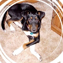 Sassy's "Little Sister"