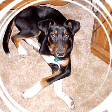 Sassy's "Little Sister"