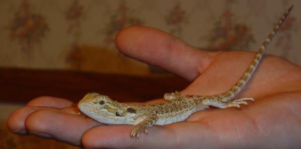 He used to be so small...
