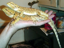 Stackable