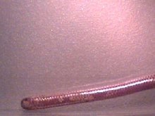 help! what is this?