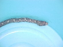 can you tell me what is this?
