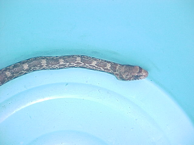 can you tell me what is this?