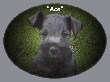 Baby pic!