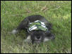 Ace is chillin'