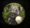 I'm Irresistable!!!!!!!