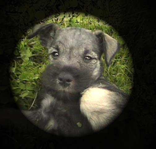 I'm Irresistable!!!!!!!