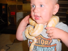 Cole Albino