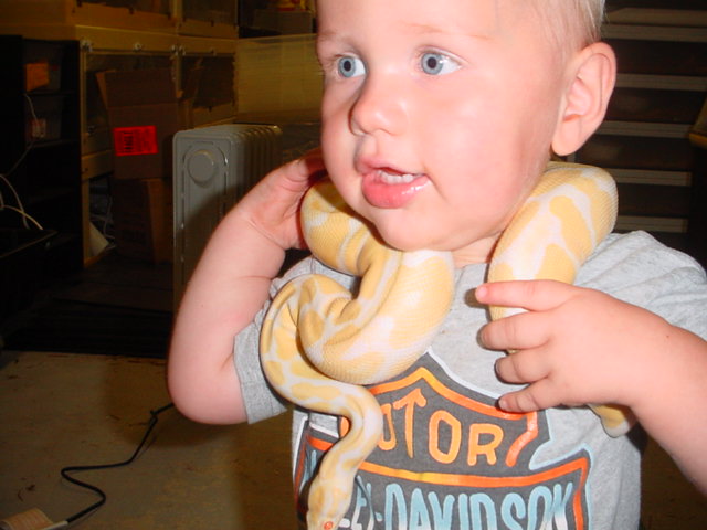 Cole Albino