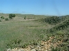 Russell Co, KS