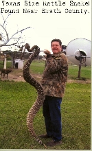 Have you seen this thing?