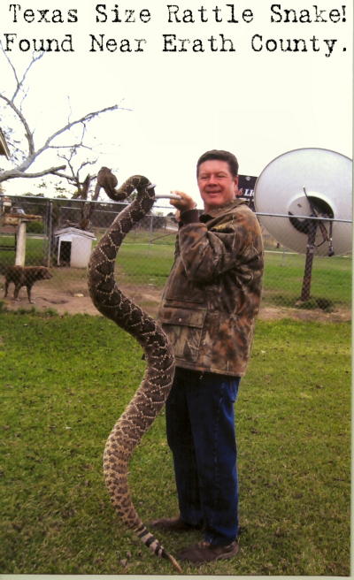 Have you seen this thing?