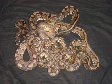 group