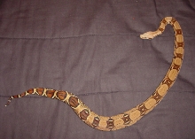 red tail