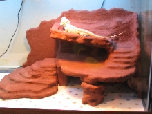 Drakos Rock Wall