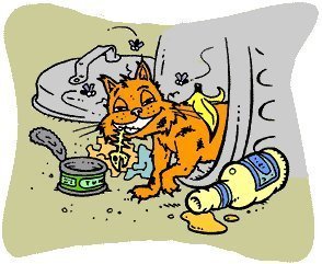 garbage cat