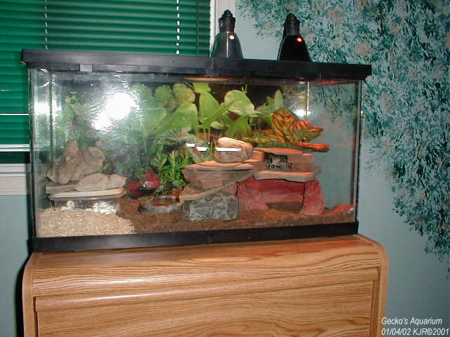 New Home Decorations